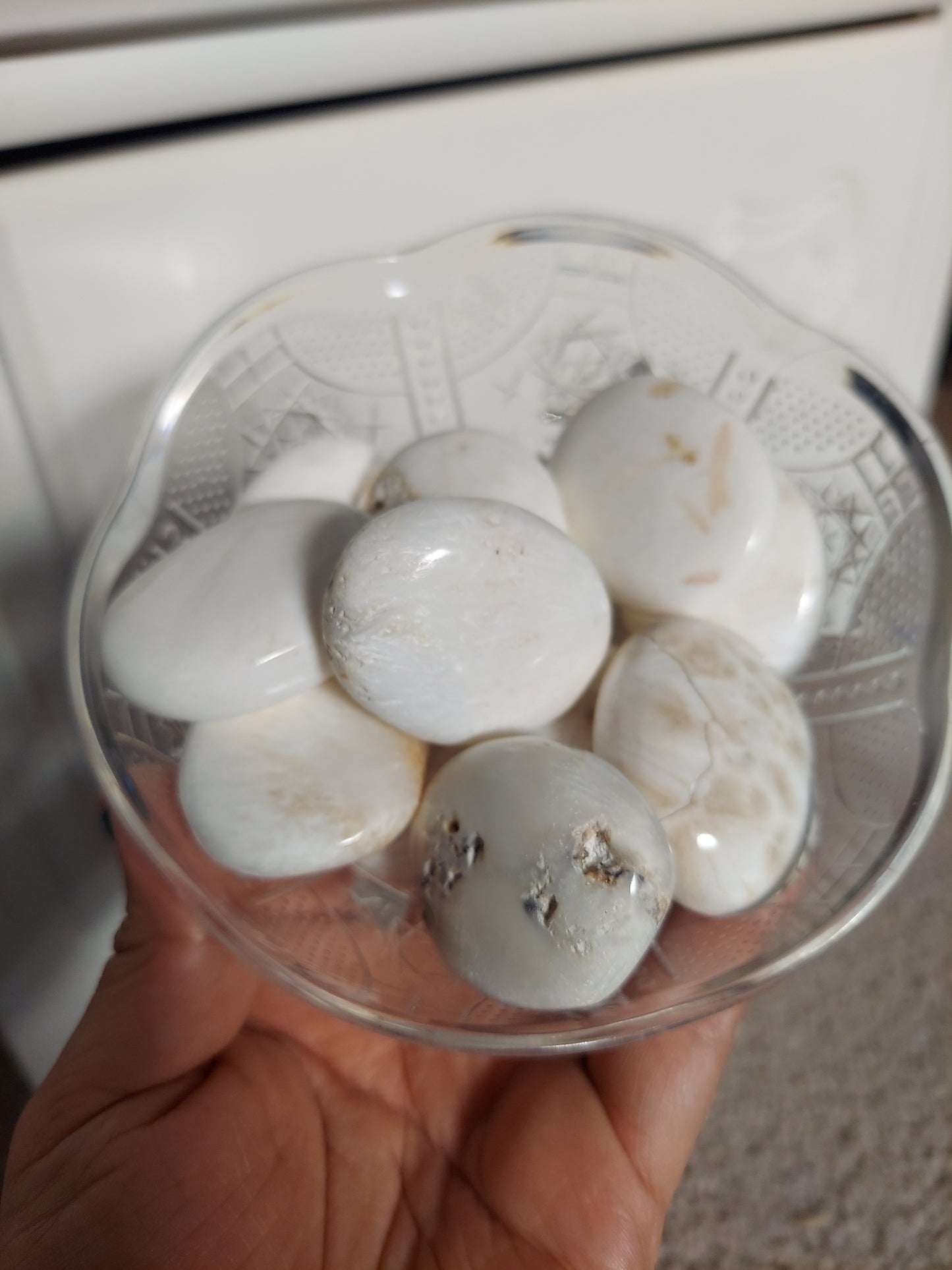 Scolocite Palm Stone
