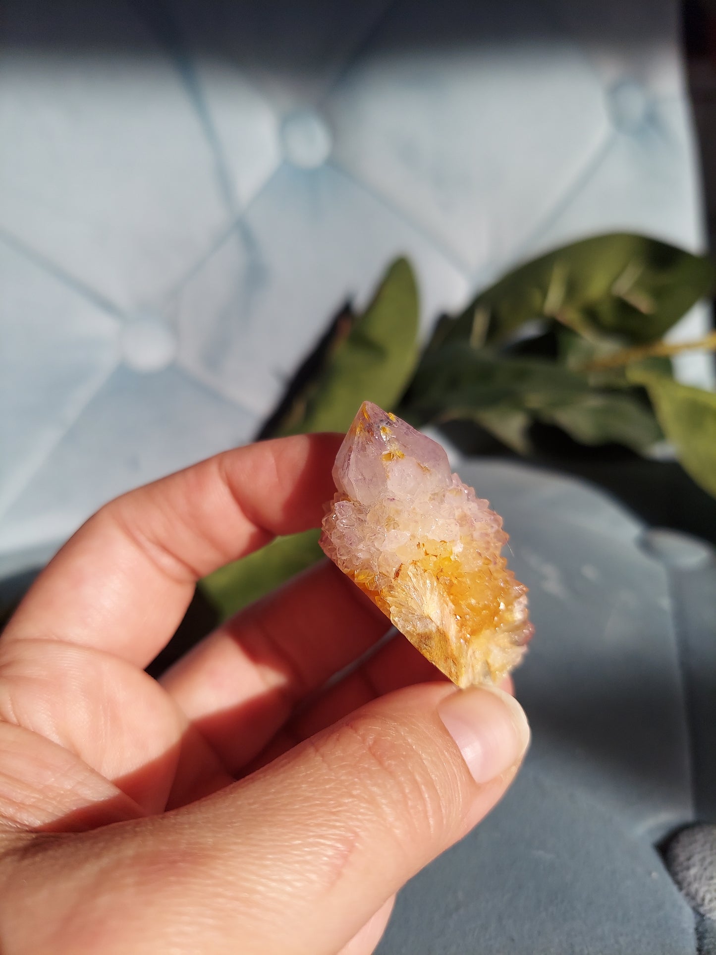 Spirit Cactus Quartz