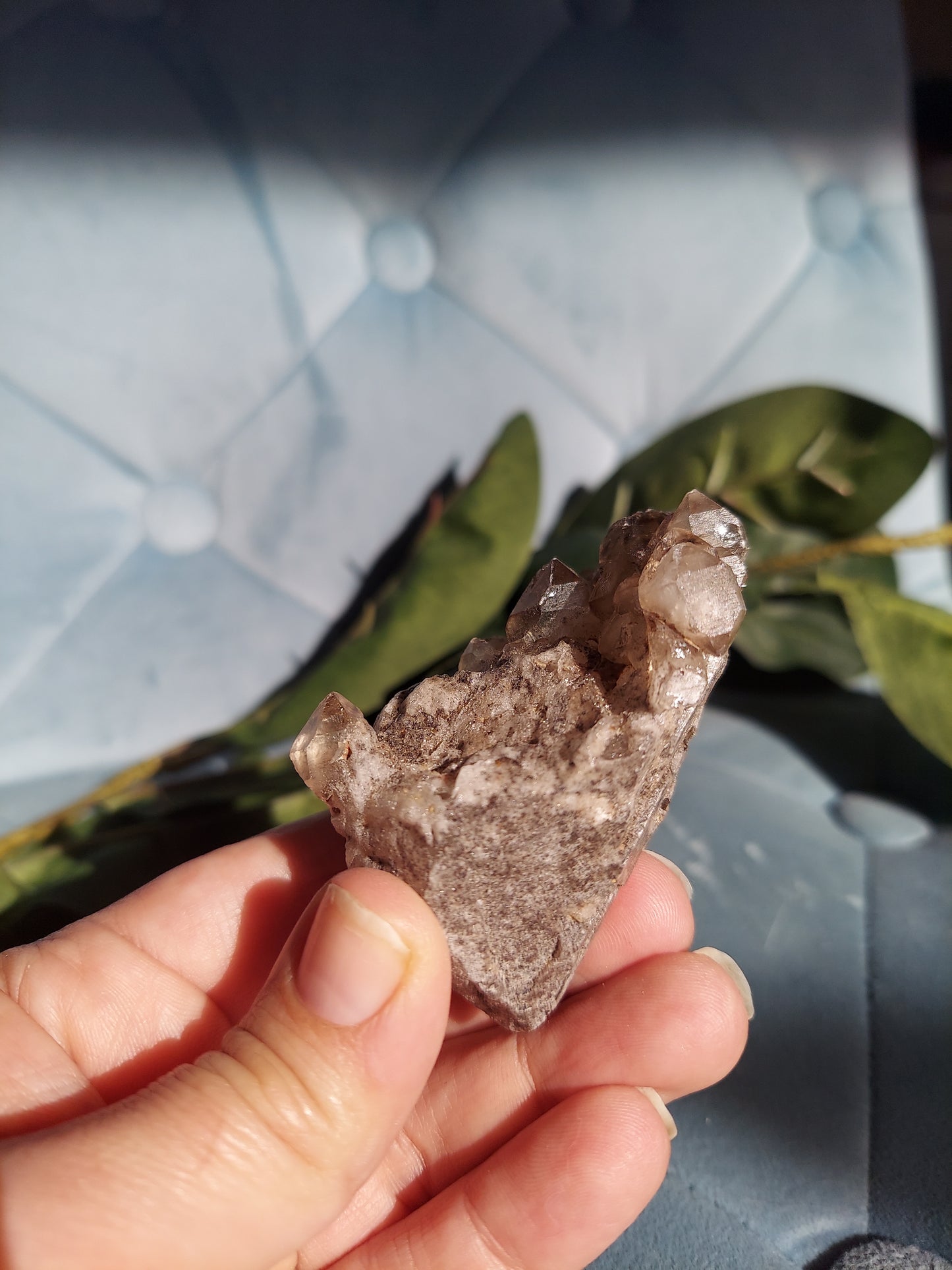 Smoky Elestial Quartz