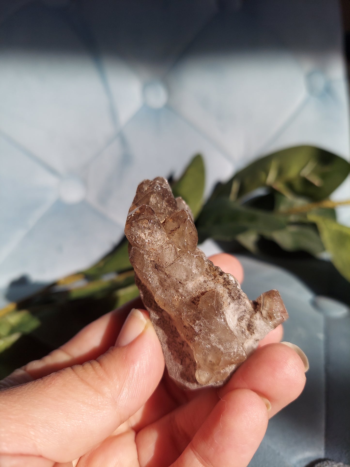 Smoky Elestial Quartz