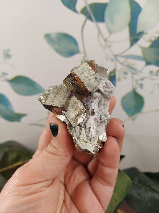 Cubic Pyrite