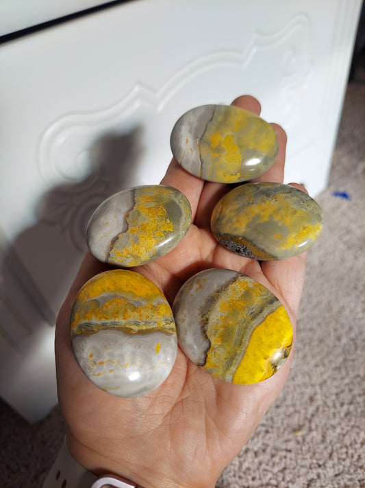 Bumble Bee Jasper Palm Stone