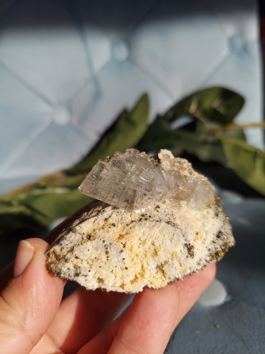 Optical Calcite and Pyrite