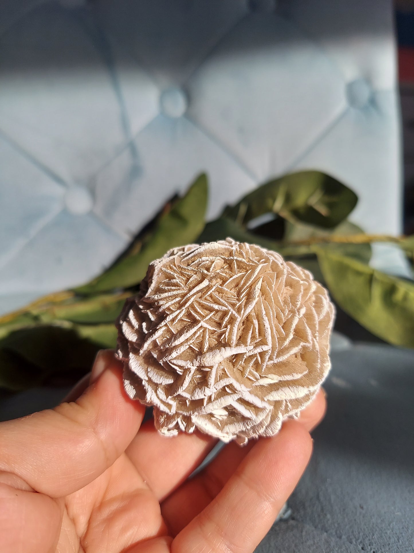 Desert Rose Selenite