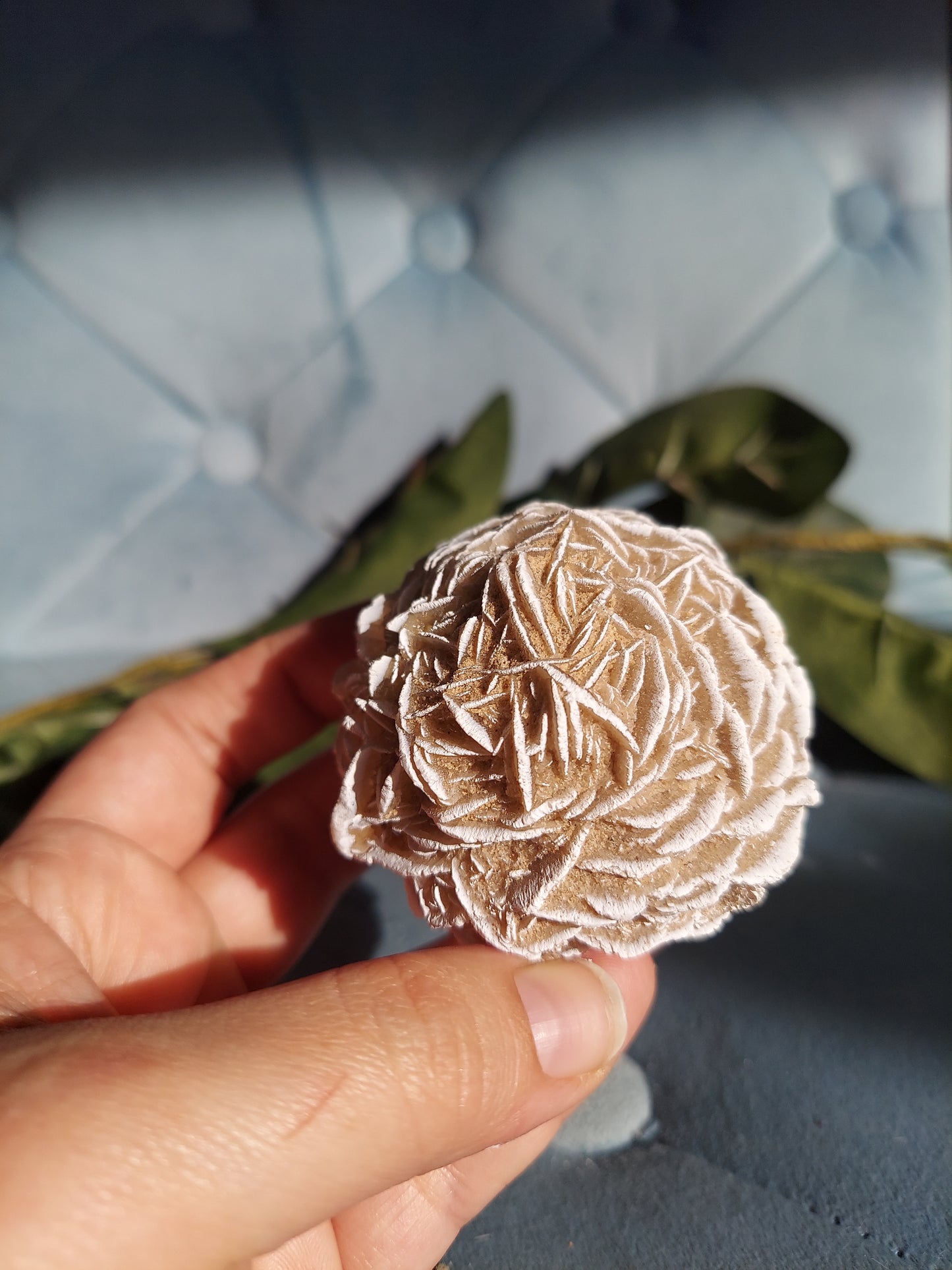 Desert Rose Selenite