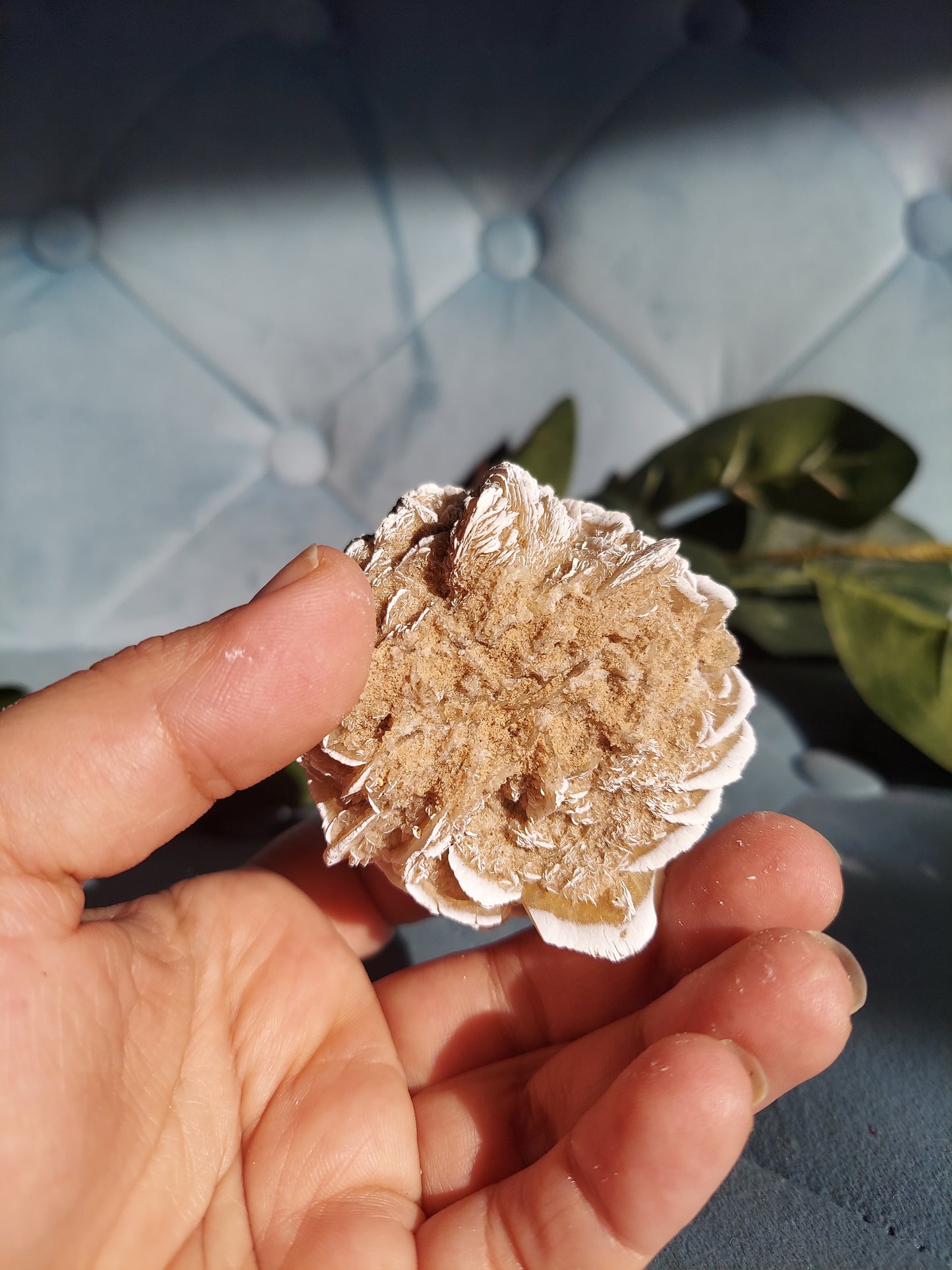 Desert Rose Selenite