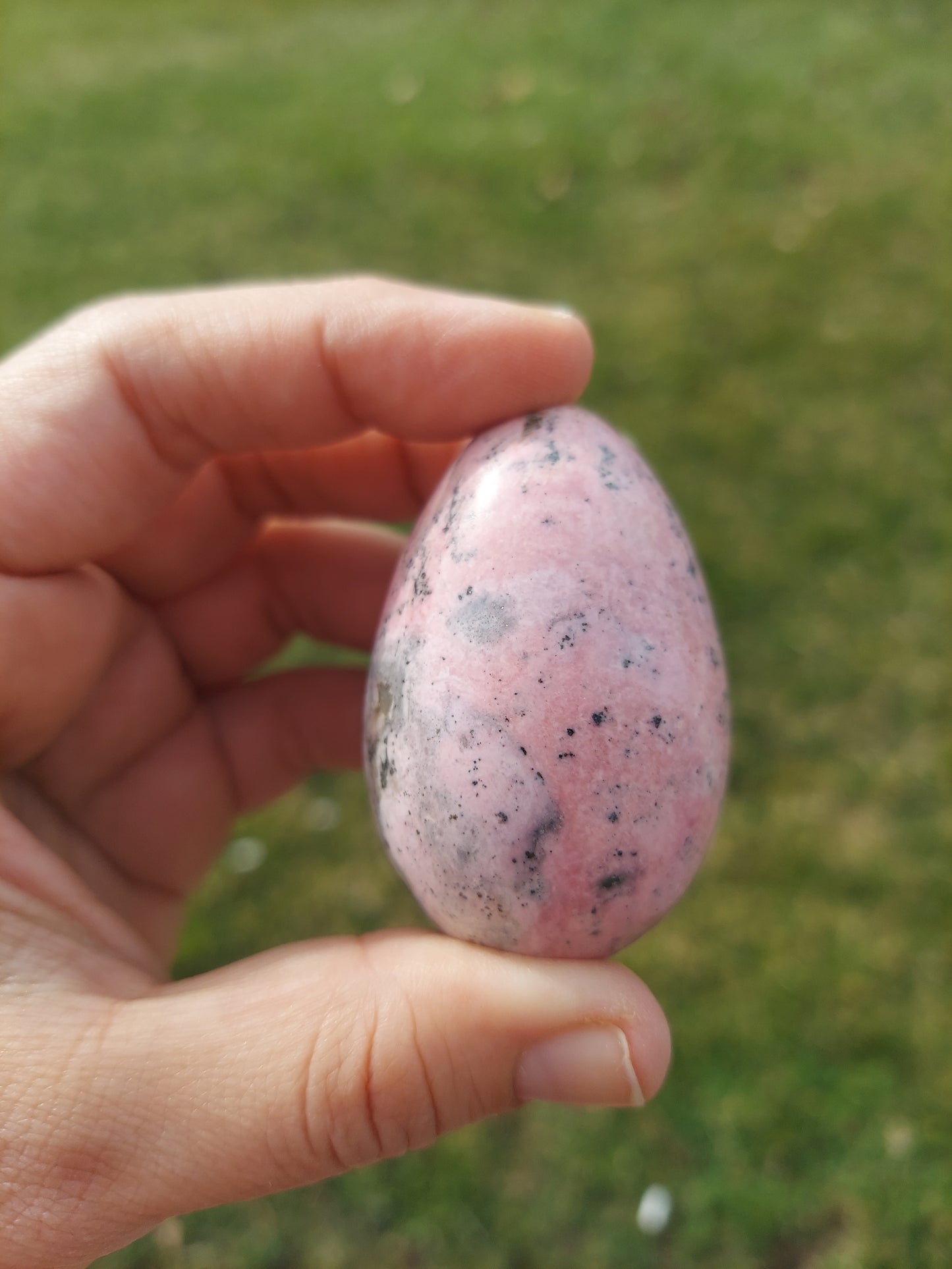 Peruvian Rhodonite Egg