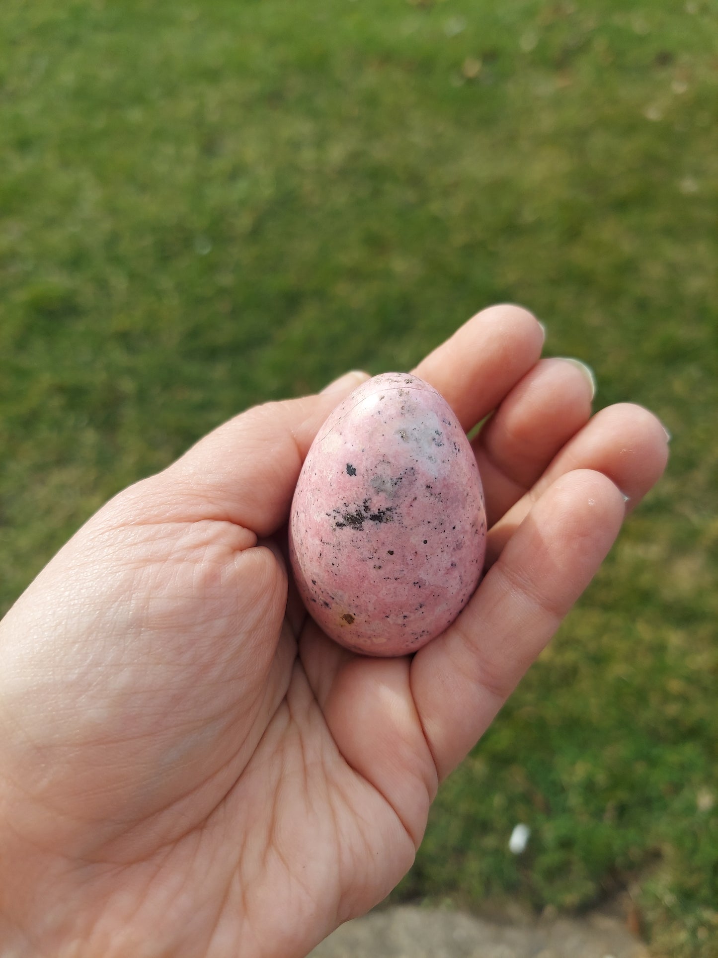 Peruvian Rhodonite Egg