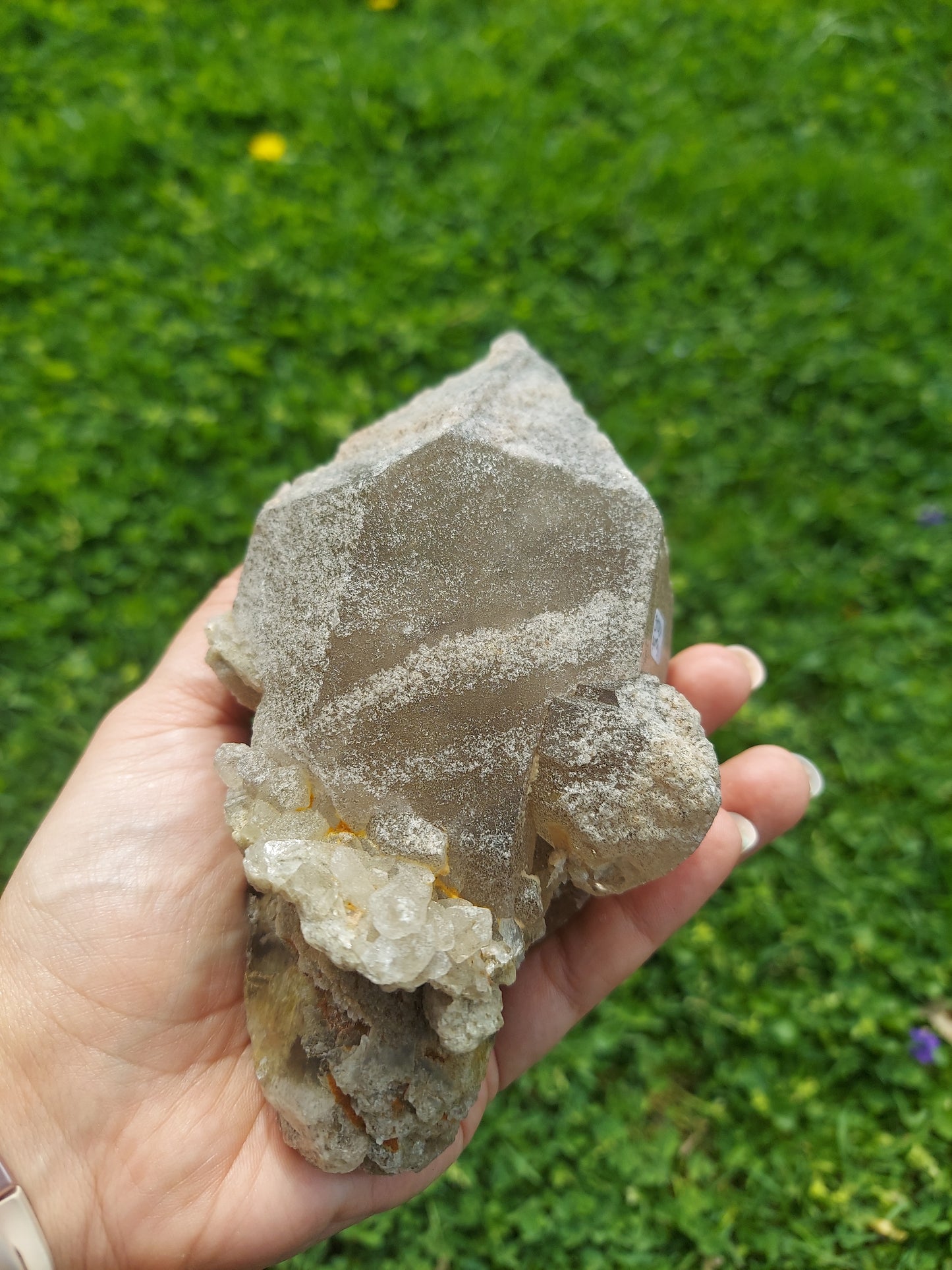 Smoky Garden Quartz Raw Crystal Scepter