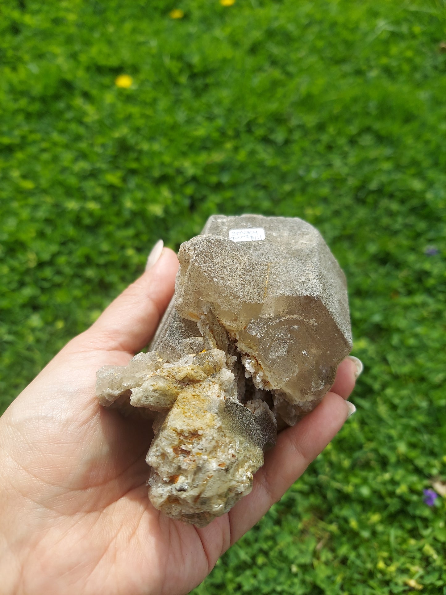 Smoky Garden Quartz Raw Crystal Scepter