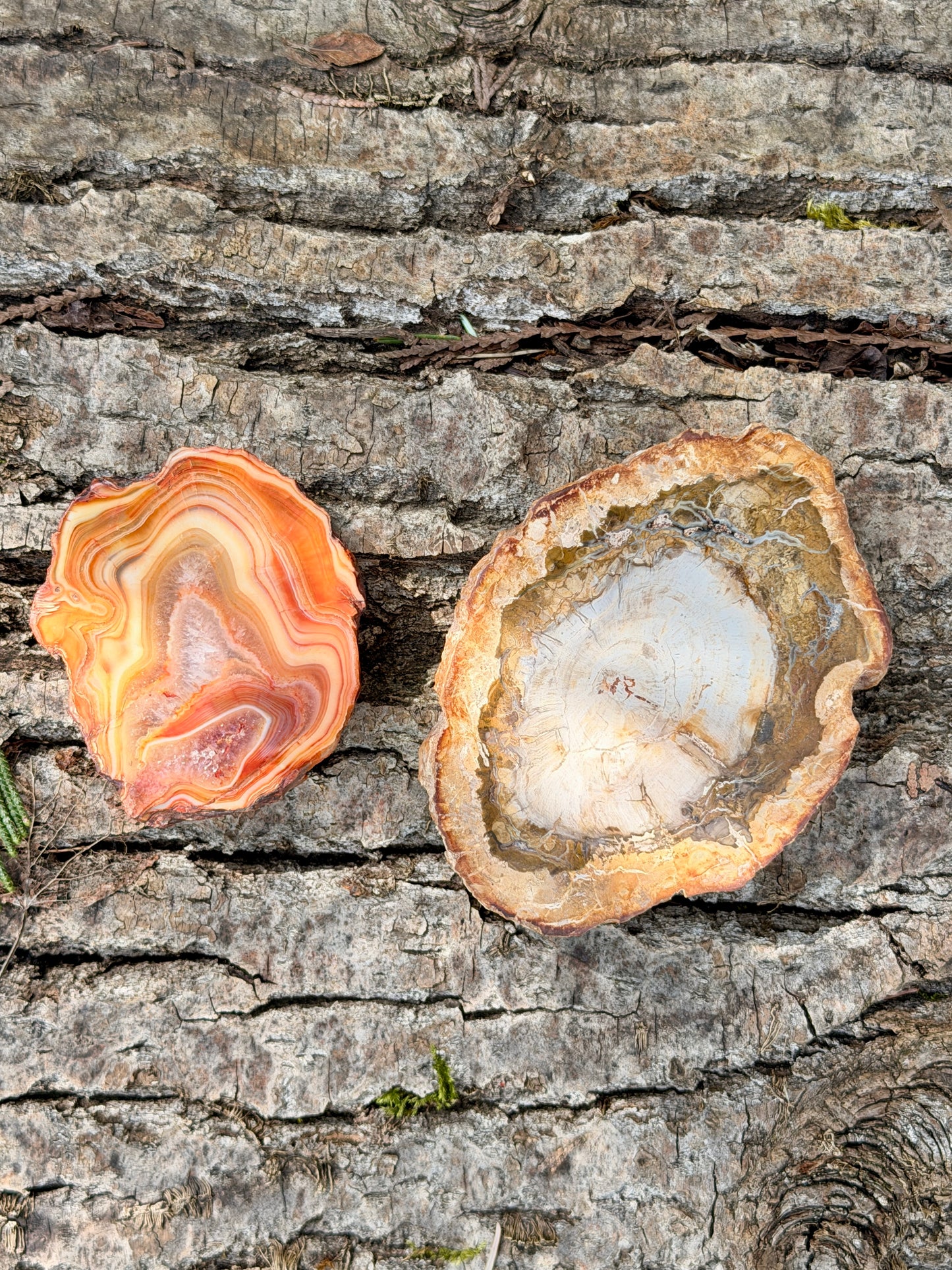 Carnelian Agate Slice / Crystal Slice with Druze / Crystal for Aries