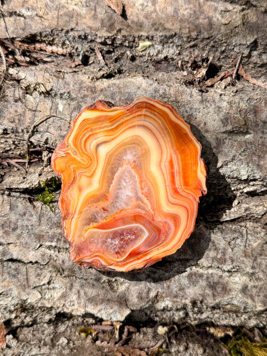 Carnelian Agate Slice / Crystal Slice with Druze / Crystal for Aries