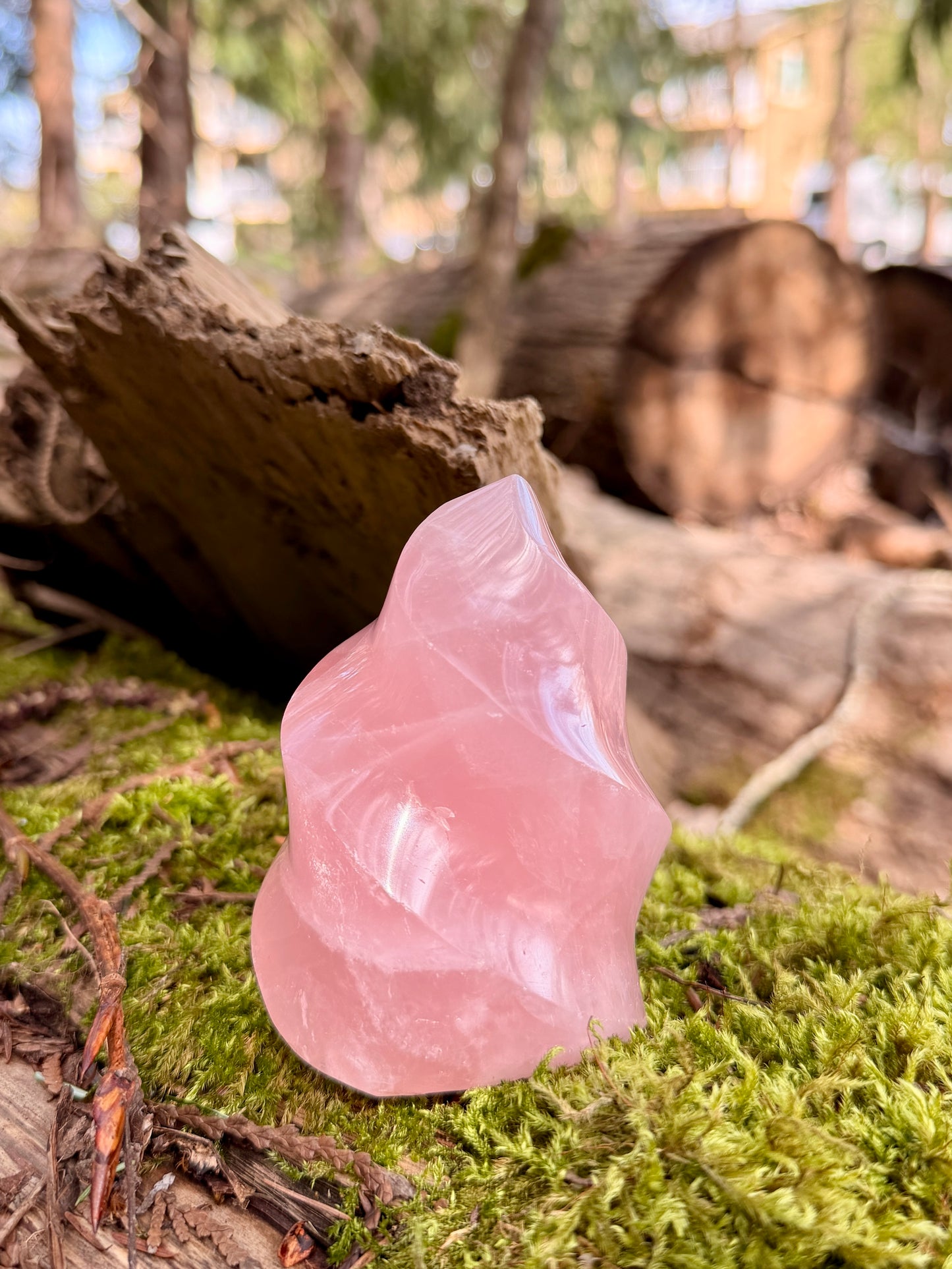 Pink Rose Quartz Crystal Flame / Heart Chakra / Crystal Grid