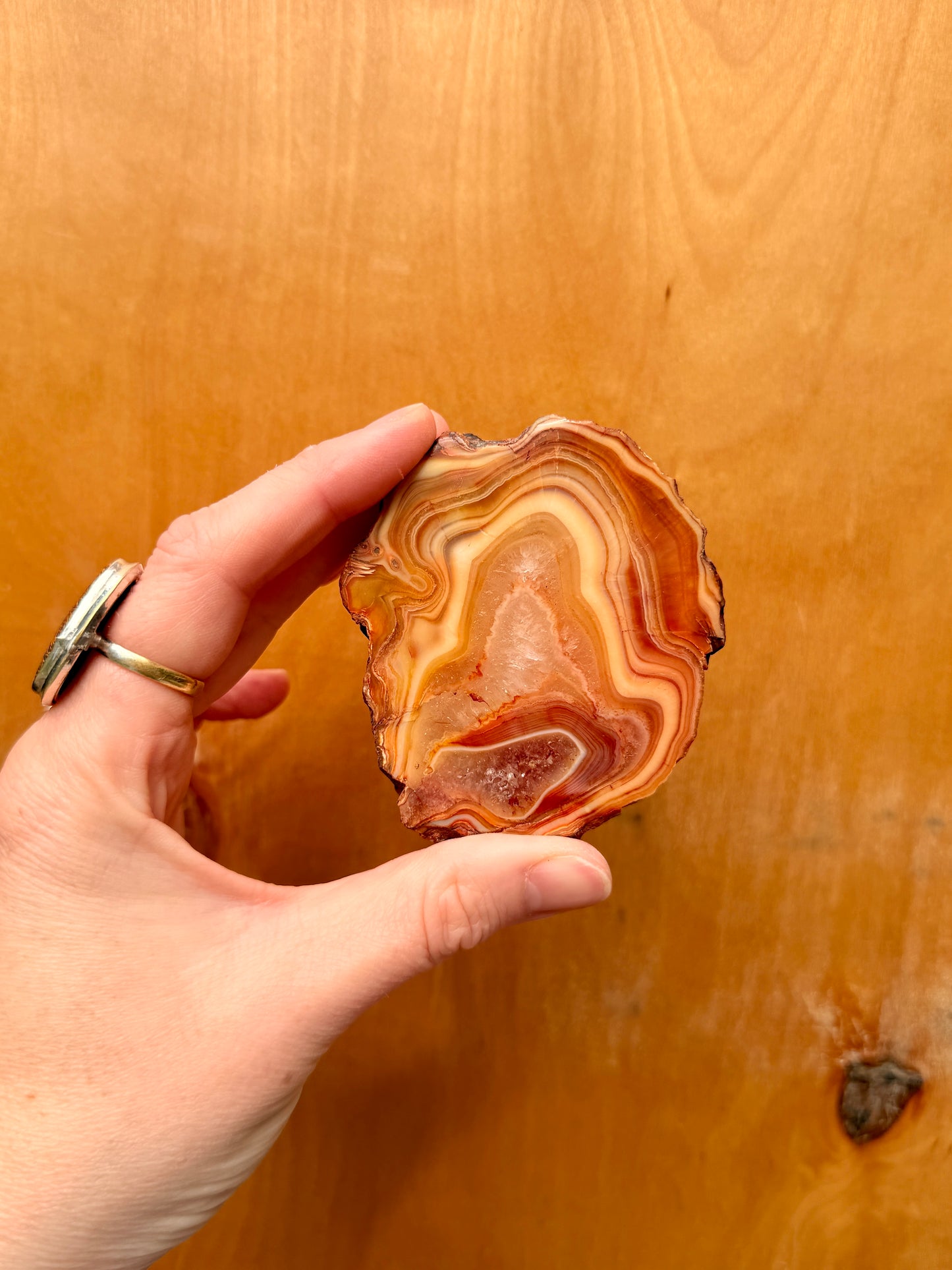 Carnelian Agate Slice / Crystal Slice with Druze / Crystal for Aries