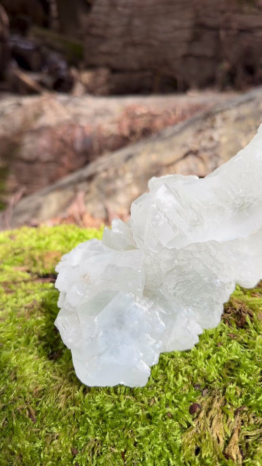 Raw Fishtail Selenite / High Vibrational Crystal / Potent Healer